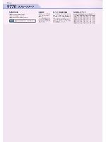 9770 スプルーススーツのカタログページ(jinn2009n018)