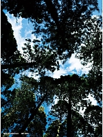 ユニフォーム jits2023w024