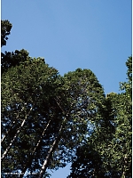 ユニフォーム jits2023w198