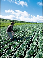 ユニフォーム jits2026s020