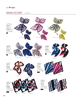 EAZ466 スカーフのカタログページ(kare2023w209)