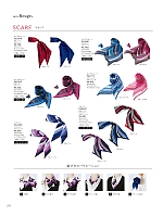 EAZ390 スカーフのカタログページ(kare2023w211)