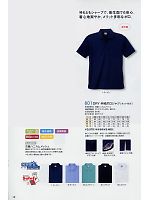 801 DRY半袖ポロシャツ(ネット付)のカタログページ(kkrs2009n012)