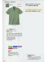 272 半袖ポロシャツのカタログページ(kkrs2009n026)