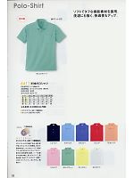 4411 半袖ポロシャツのカタログページ(kkrs2009n028)