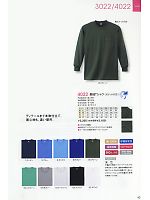 4022 長袖Tシャツ(ポケット付き)のカタログページ(kkrs2010n043)