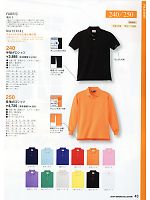 250 長袖ポロシャツ(15廃番)のカタログページ(kkrs2012n043)