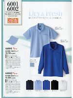 6002 吸汗速乾長袖ポロシャツのカタログページ(kkrs2015n012)
