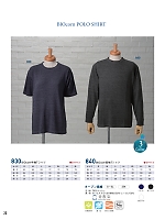 830 半袖Tシャツのカタログページ(kkrs2024n023)