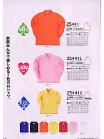 25441L レディース裏綿長袖ポロシャツのカタログページ(kurk2009w125)