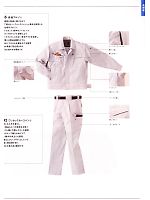 T43 長袖シャツのカタログページ(nakc2010s019)