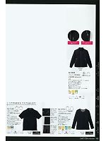 BC1210 ラグランTシャツ(男性用)のカタログページ(riml2011n060)