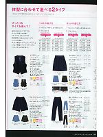 CL1512 スカート(16廃番)のカタログページ(riml2011n086)