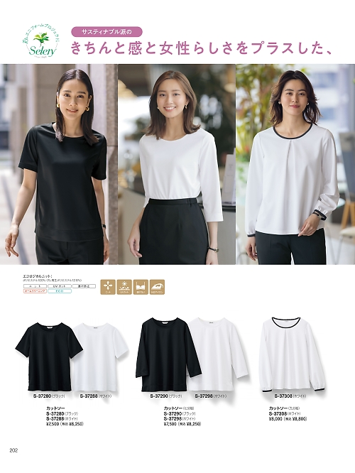 セロリー Selery ifory SKITTO,S37280,カットソーの写真は2026最新カタログ202ページに掲載されています。