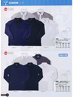 183 天竺ラガーシャツ(廃番)のカタログページ(snmb2009s102)