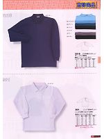 501 ジュニア長袖ポロシャツのカタログページ(snmb2009w121)