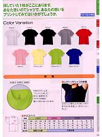 51013C ヘビーウエイトTシャツ(色)キッズのカタログページ(suws2009s160)