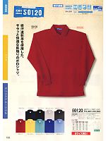 50120 長袖ポロシャツのカタログページ(suws2011w133)