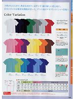 51021C ヘビーウエイトTシャツ(カラー)のカタログページ(suws2014s166)