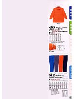 7205 長袖カッターシャツのカタログページ(tcbs2008n012)