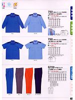 730 半袖カッターシャツのカタログページ(tcbs2008n018)