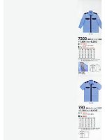 780 半袖カッターシャツのカタログページ(tcbs2009n013)