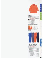7205 長袖カッターシャツのカタログページ(tcbs2009n014)