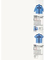 7203 長袖カッターシャツのカタログページ(tcbs2011n013)