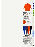 7205 長袖カッターシャツのカタログページ(tcbs2011n014)