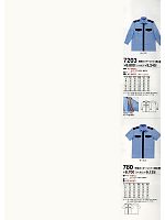 780 半袖カッターシャツのカタログページ(tcbs2013n013)