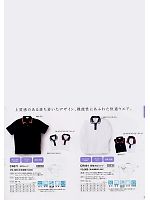 CR081 長袖ポロシャツのカタログページ(tikr2008n033)