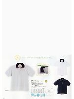 CR111 ポロシャツのカタログページ(tikr2011n044)