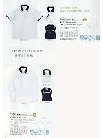 CR033 長袖ポロシャツのカタログページ(tikr2011n048)