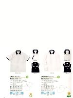 CR023 半袖ポロシャツのカタログページ(tikr2013n050)