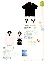 CR081 長袖ポロシャツのカタログページ(tikr2013n051)