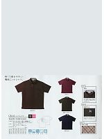 CR143 ニットシャツのカタログページ(tikr2014n011)
