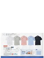 4K21003 ニットシャツのカタログページ(tikr2016n009)