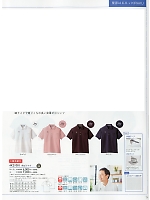 4K21001 ポロシャツのカタログページ(tikr2019n039)