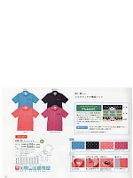 CR175 ニットシャツのカタログページ(tikr2019n058)