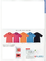 CR172 ポロシャツのカタログページ(tikr2019n065)