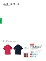 CY200 ポロシャツのカタログページ(tikr2021n116)