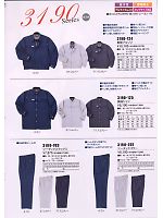 3190-125 長袖シャツのカタログページ(tris2008w019)