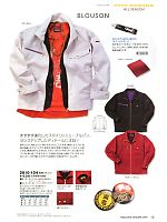 2012 年間物「寅壱style」のカタログ15ページ(tris2011s015)