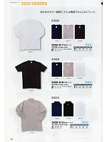 2525-618 半袖シャツのカタログページ(tris2011s078)
