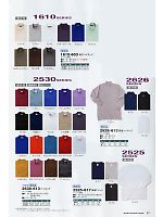 2525-617 長袖Tシャツ(廃番)のカタログページ(tris2012s081)