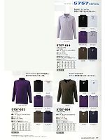 5757-664 Vネックシャツのカタログページ(tris2013s087)