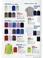 2010-621 半袖ポロシャツ(廃番)のカタログページ(tris2013s099)