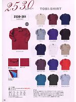 2530-301 トビシャツのカタログページ(trit2008w036)