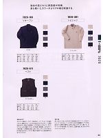 7026-301 トビシャツのカタログページ(trit2008w065)