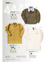 4441-301 トビシャツのカタログページ(trit2011n054)